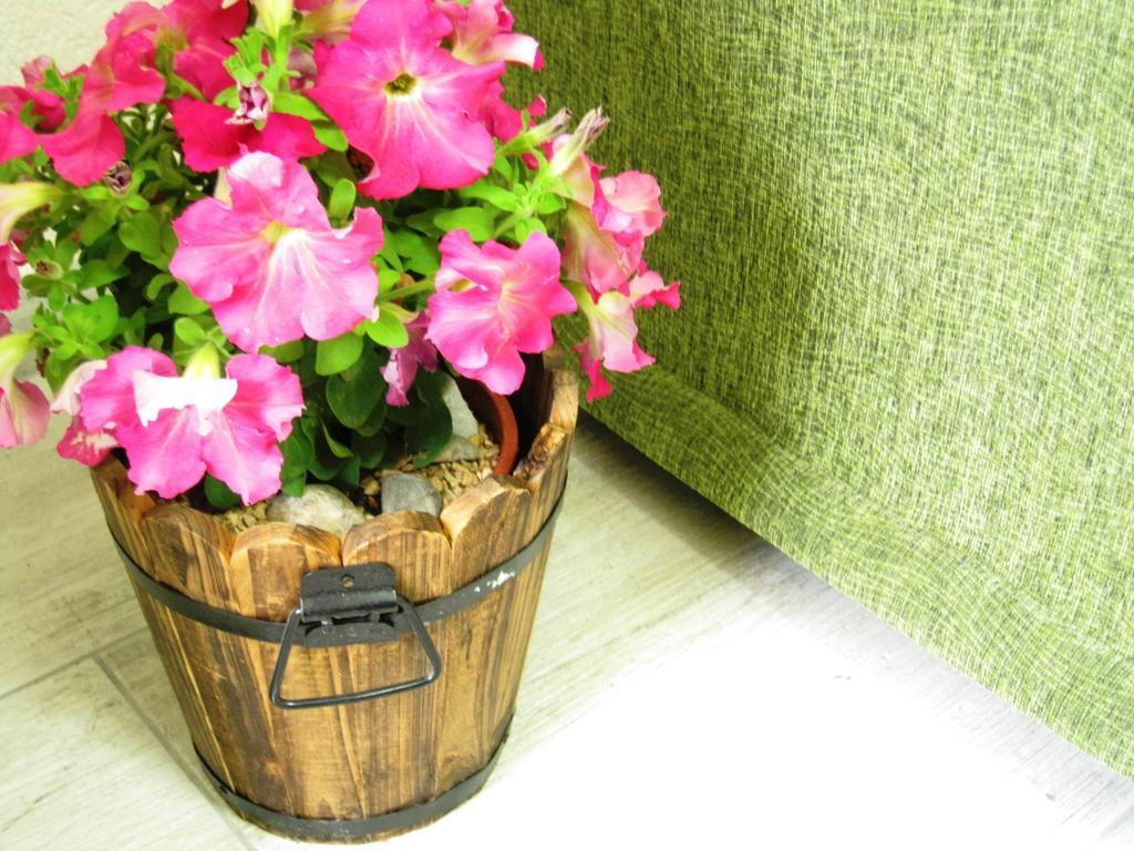Bauernhof Eco-selo *